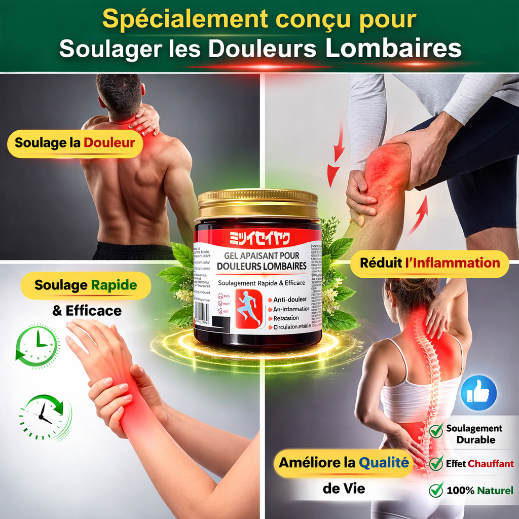 Pack ( 2 Boites ) Gel Japonaise pour Douleur de Dos , Genoux , Epaules
